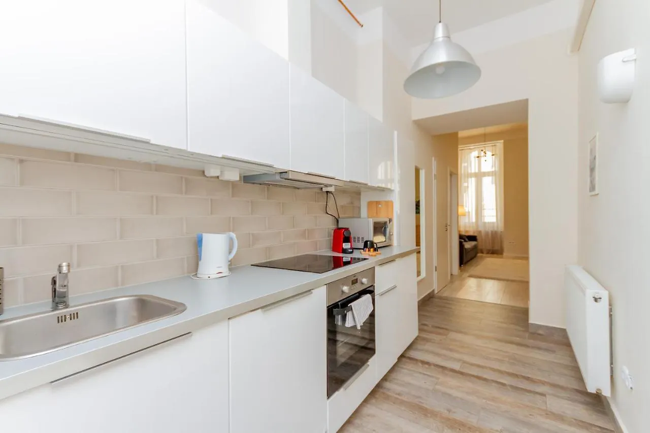 Dohany Str Downtown Apartment 布达佩斯